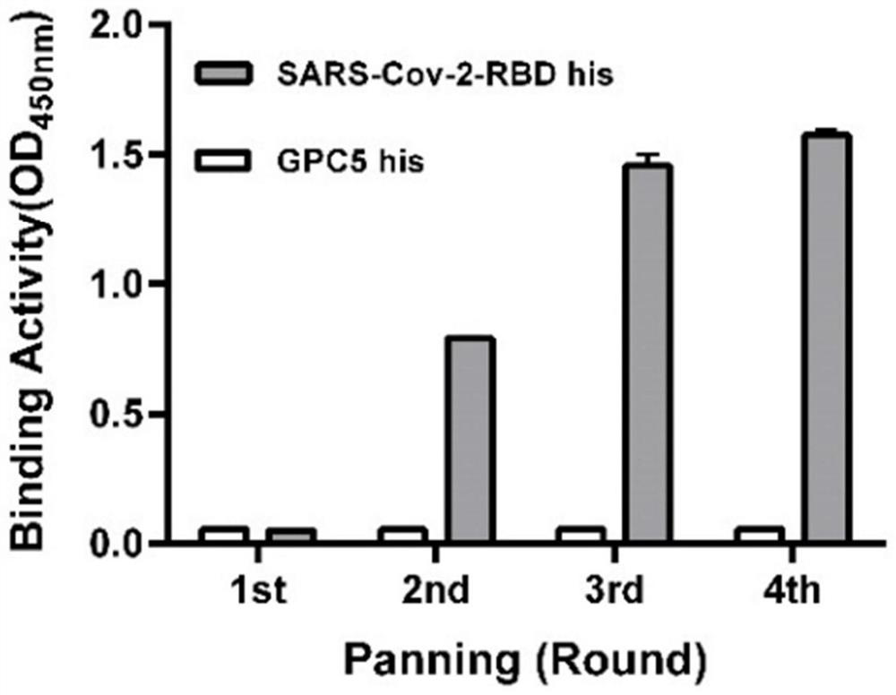 Neutralizing antibody against novel coronavirus sars-cov-2 and its application