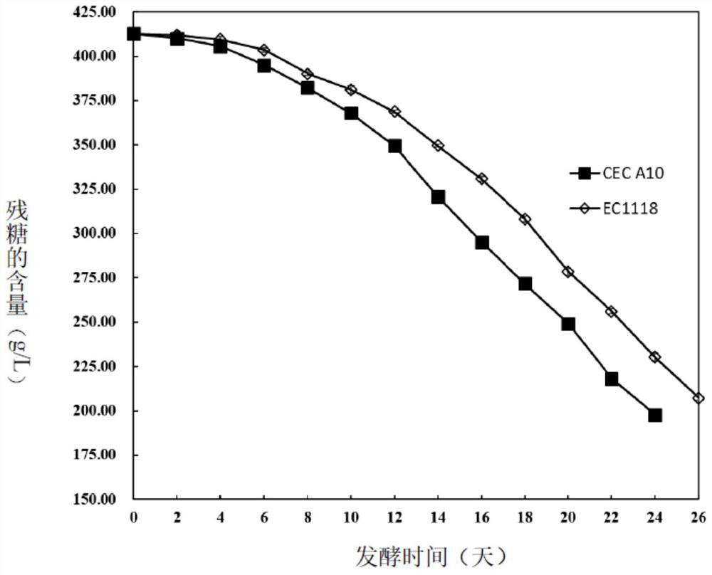 Saccharomyces cerevisiae strain and its application in ice wine