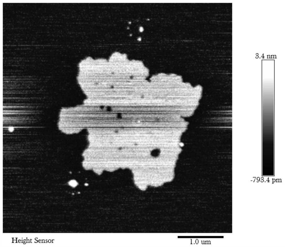 Porous graphene powder as well as preparation method and application thereof