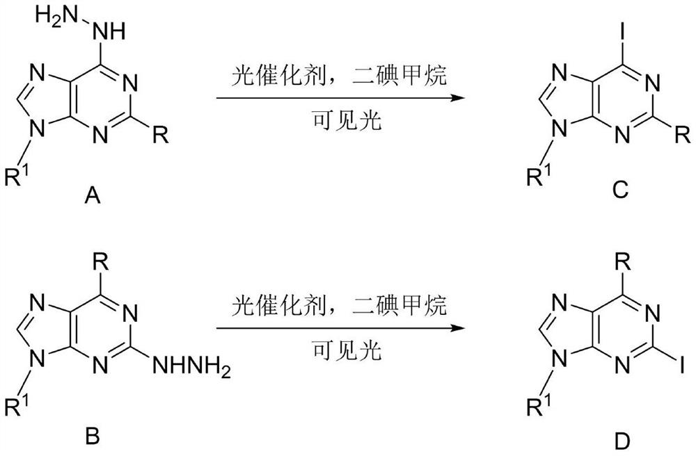 Method for synthesizing 2/6-iodo-purine derivative through visible light induced hydrazine removal-iodination reaction