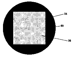Food quality analysis and detection device