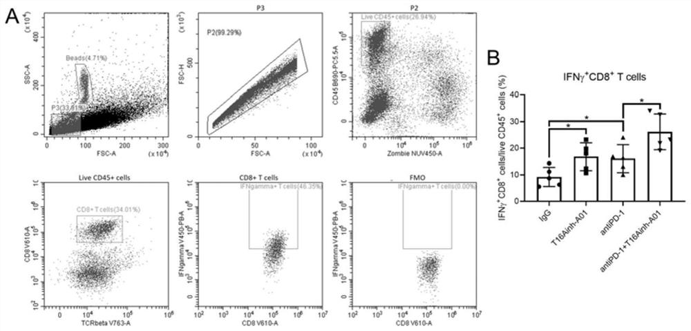 Application of inhibitor of calcium-activated chloride channels in tumor immunotherapy