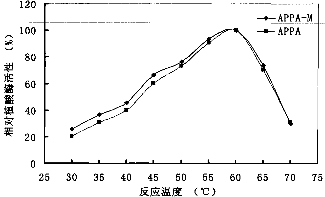 Optimized and improved escherichia coli phytase APPA-M with enhanced catalytic activity in acidic range, and gene and application of optimized and improved escherichia coli phytase APPA-M