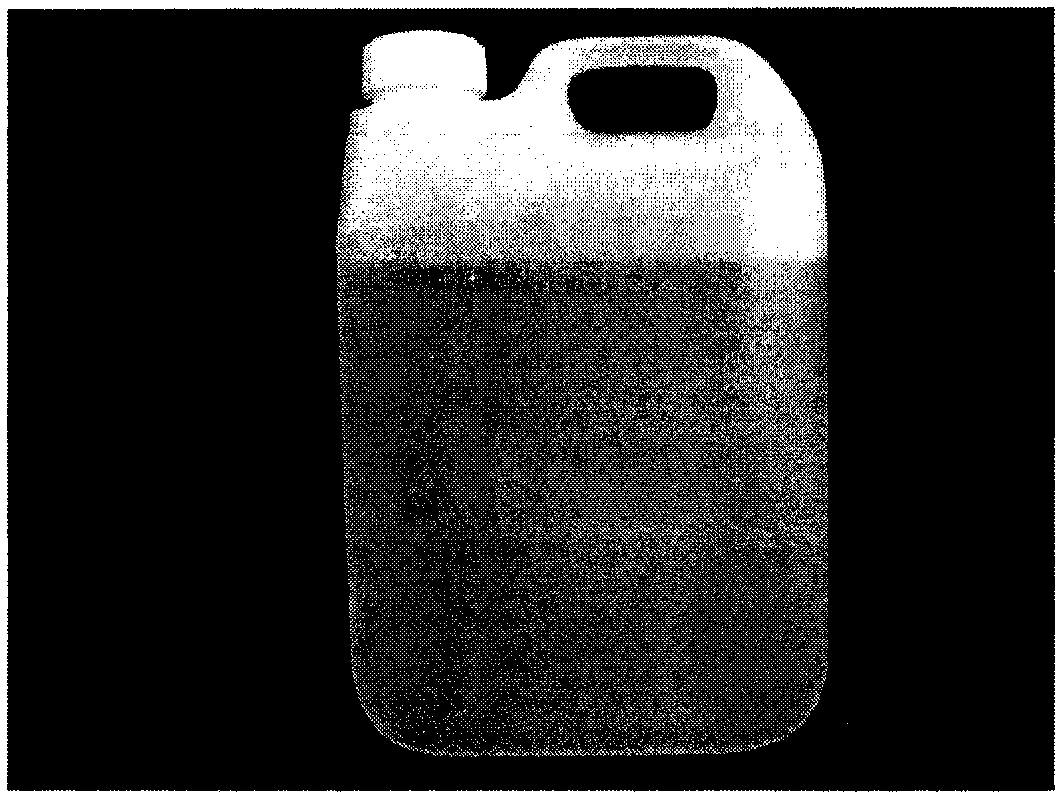 Method for producing biodiesel by using fat from animals died of illness
