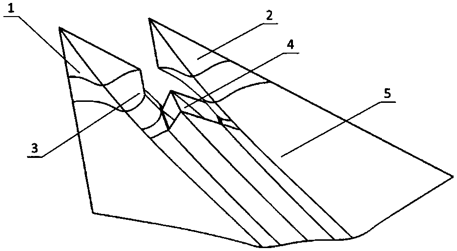 An aircraft adopting the aerodynamic layout of the double-pointed fishtail leading edge