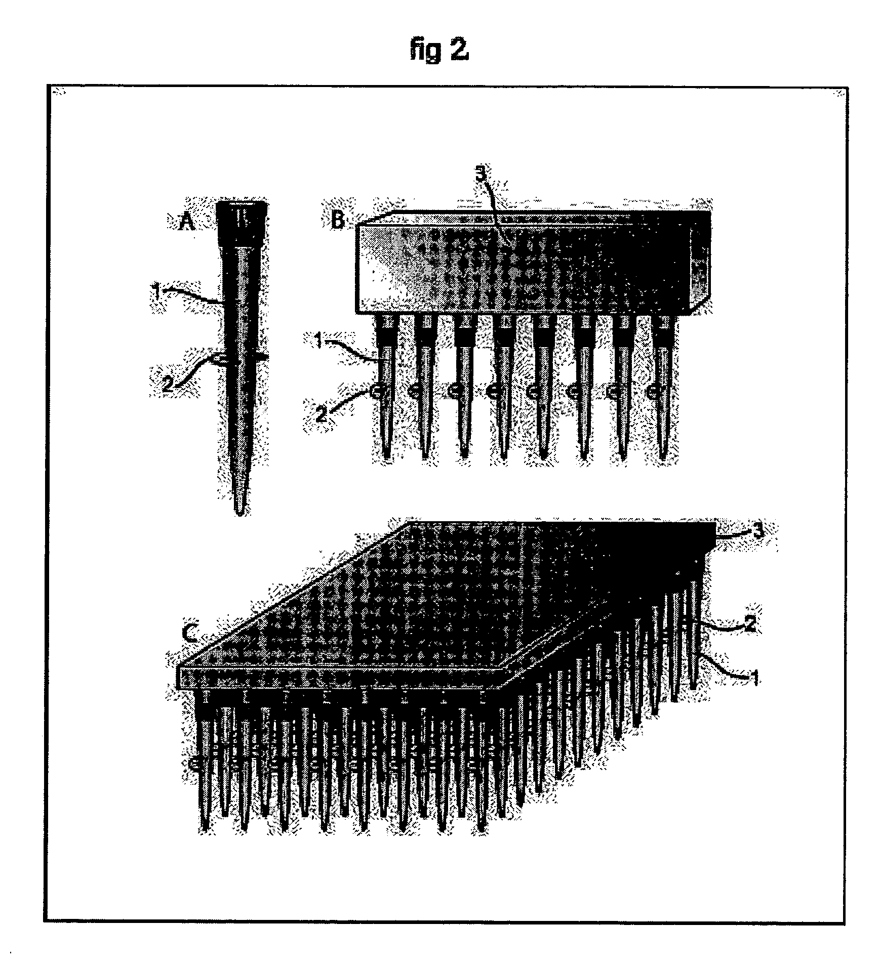 Method and apparatus for spatially confined electroporation