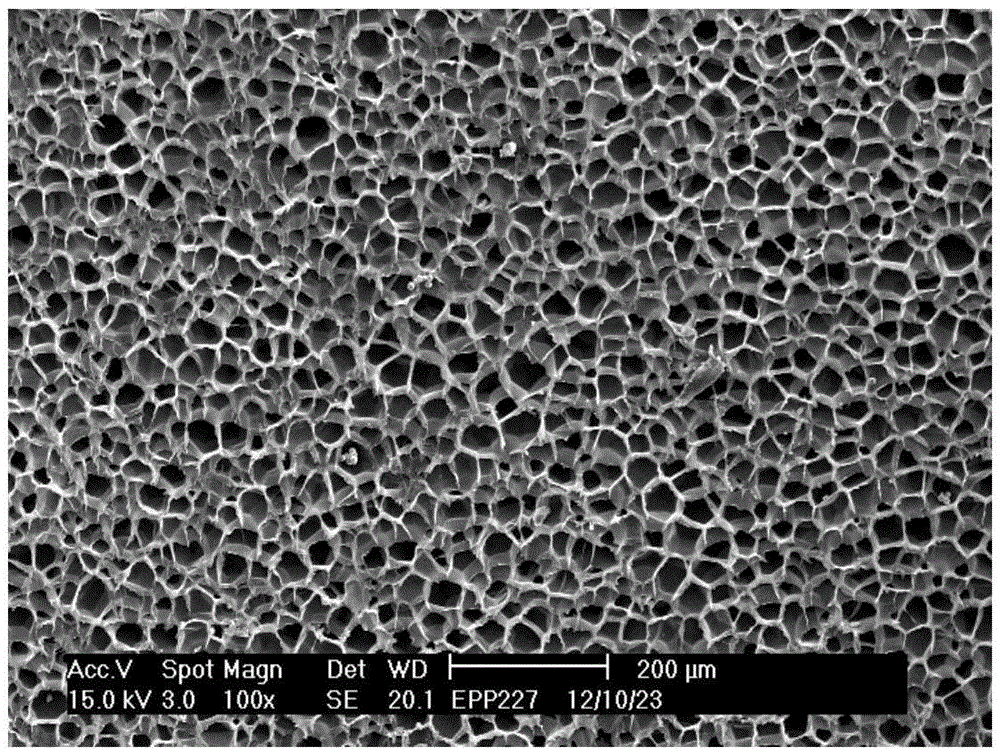 High-melt-strength impact-resistant polypropylene foamed beads and preparation method thereof