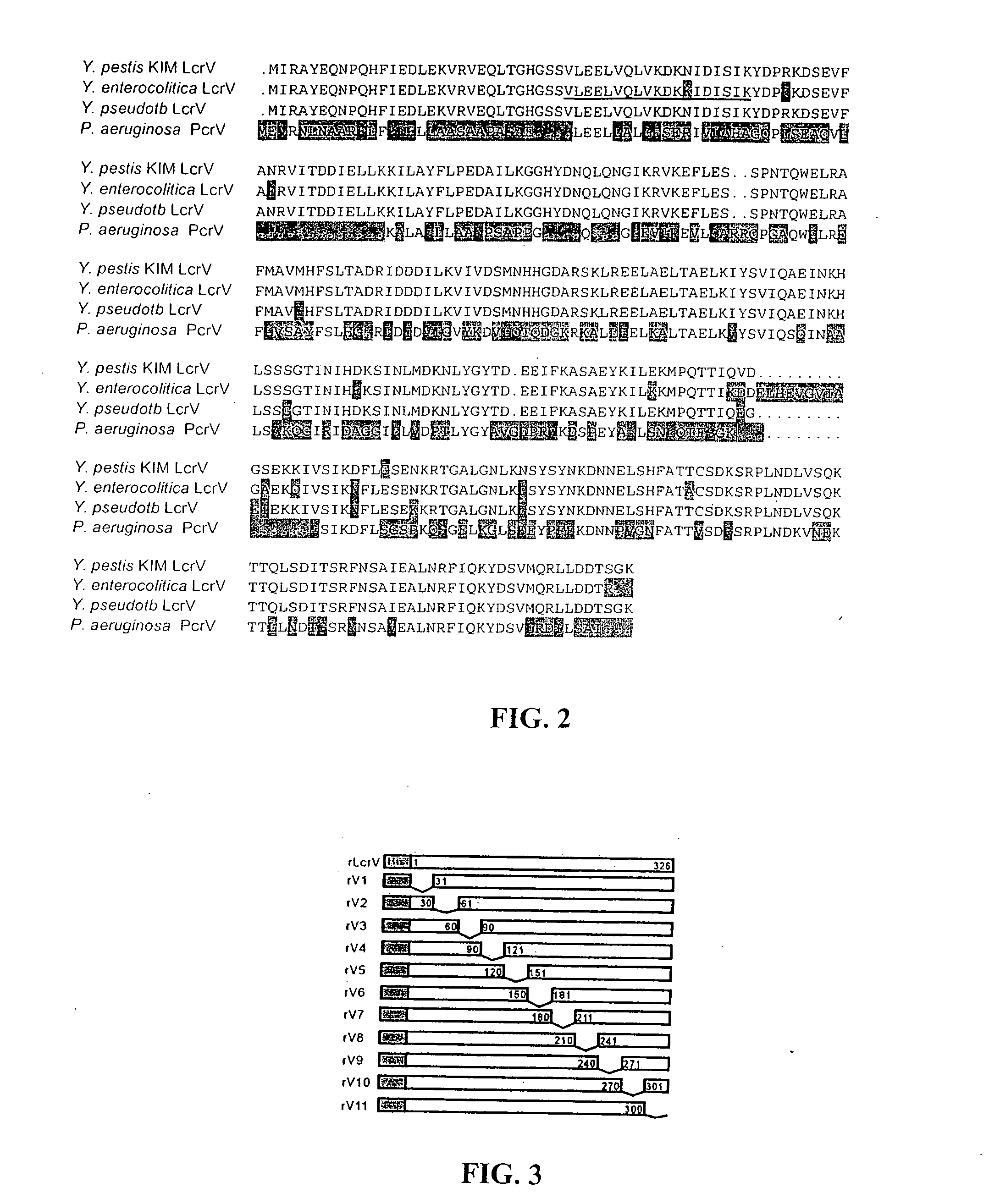 Methods and compositions involving LcrV proteins