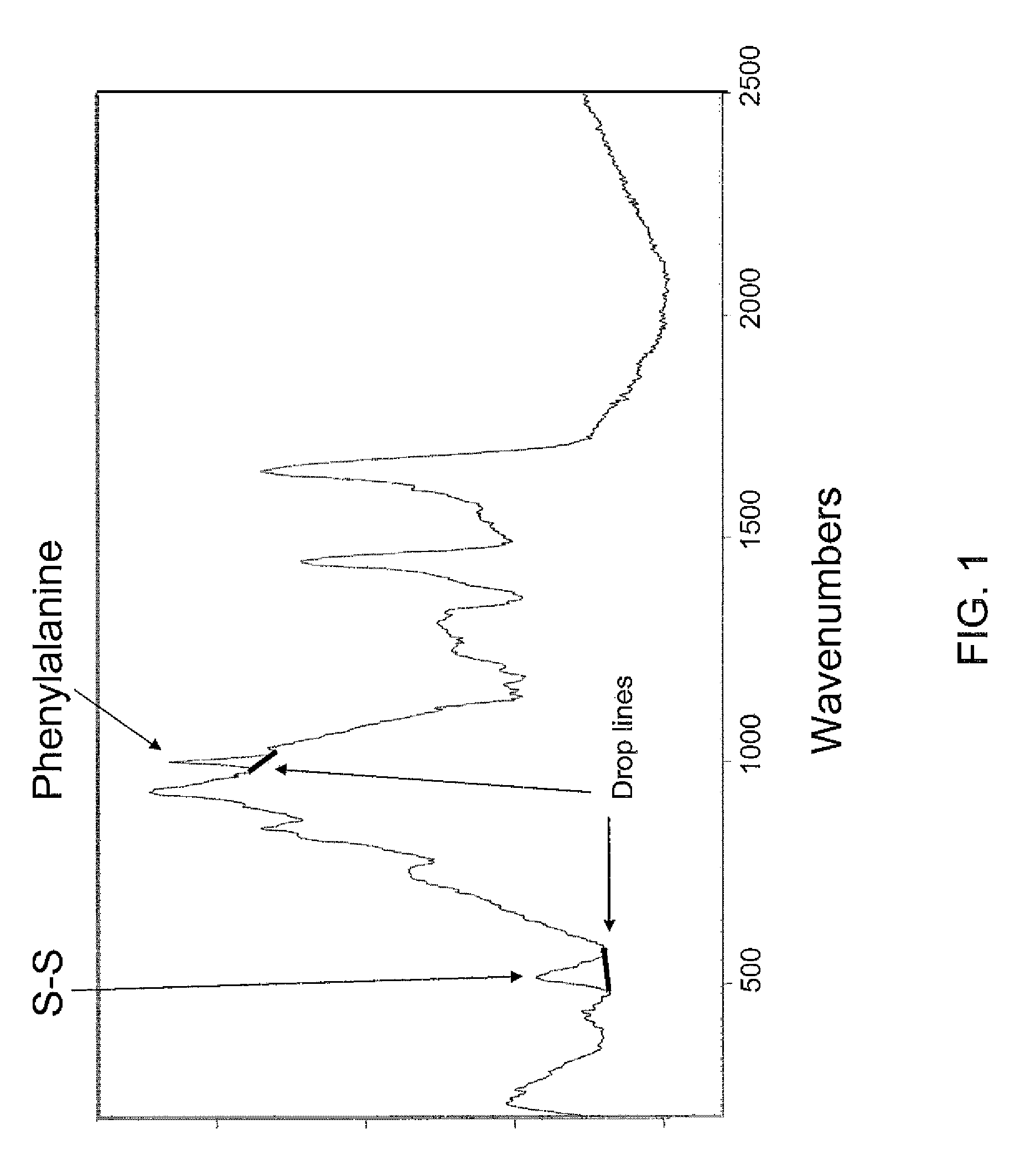 Method and apparatus for determination of bone fracture risk using raman spectroscopy