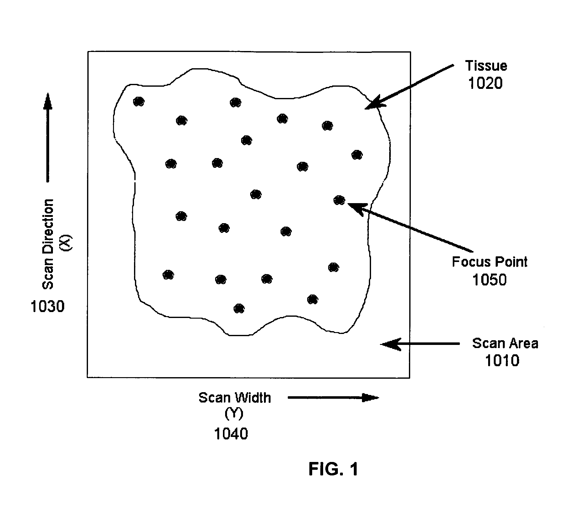 System and method for assessing virtual slide image quality