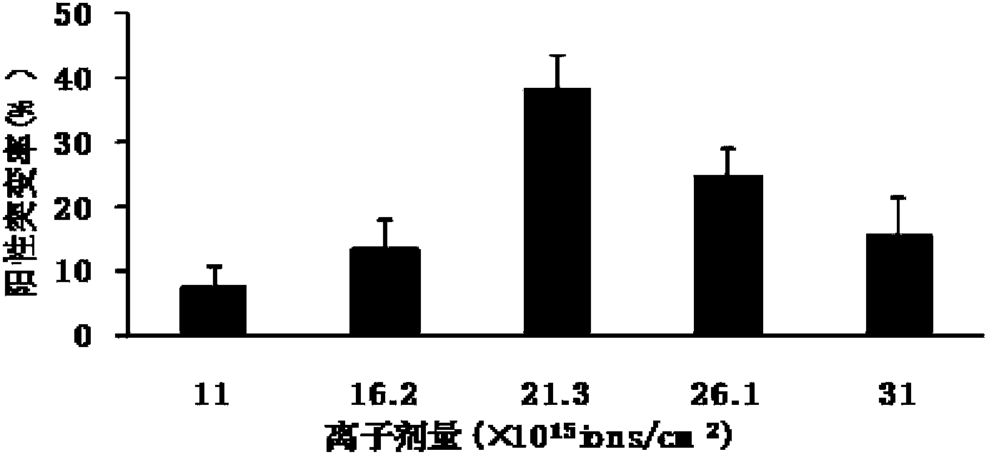 Polymorphic hansenula polymorpha mutant strain and application of polymorphic hansenula polymorpha mutant strain in glutathione biosynthesis