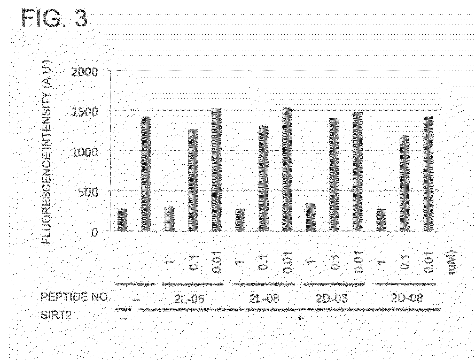 Peptide Library Production Method, Peptide Library, and Screening Method