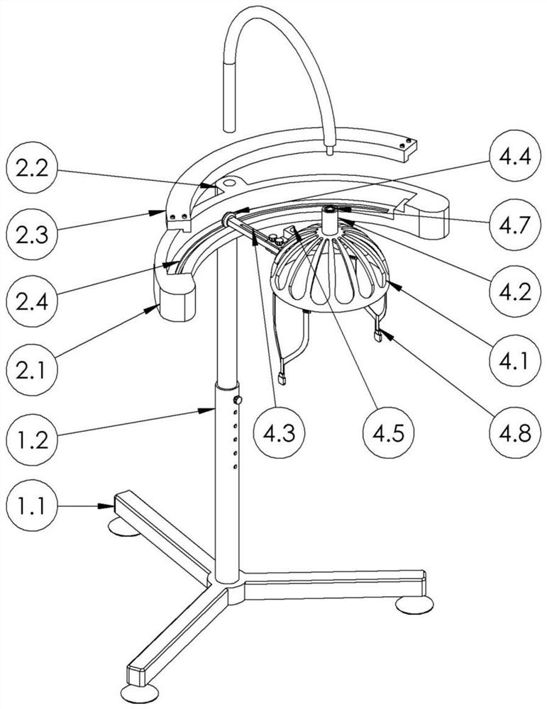 Transcranial magnetic stimulation head frame