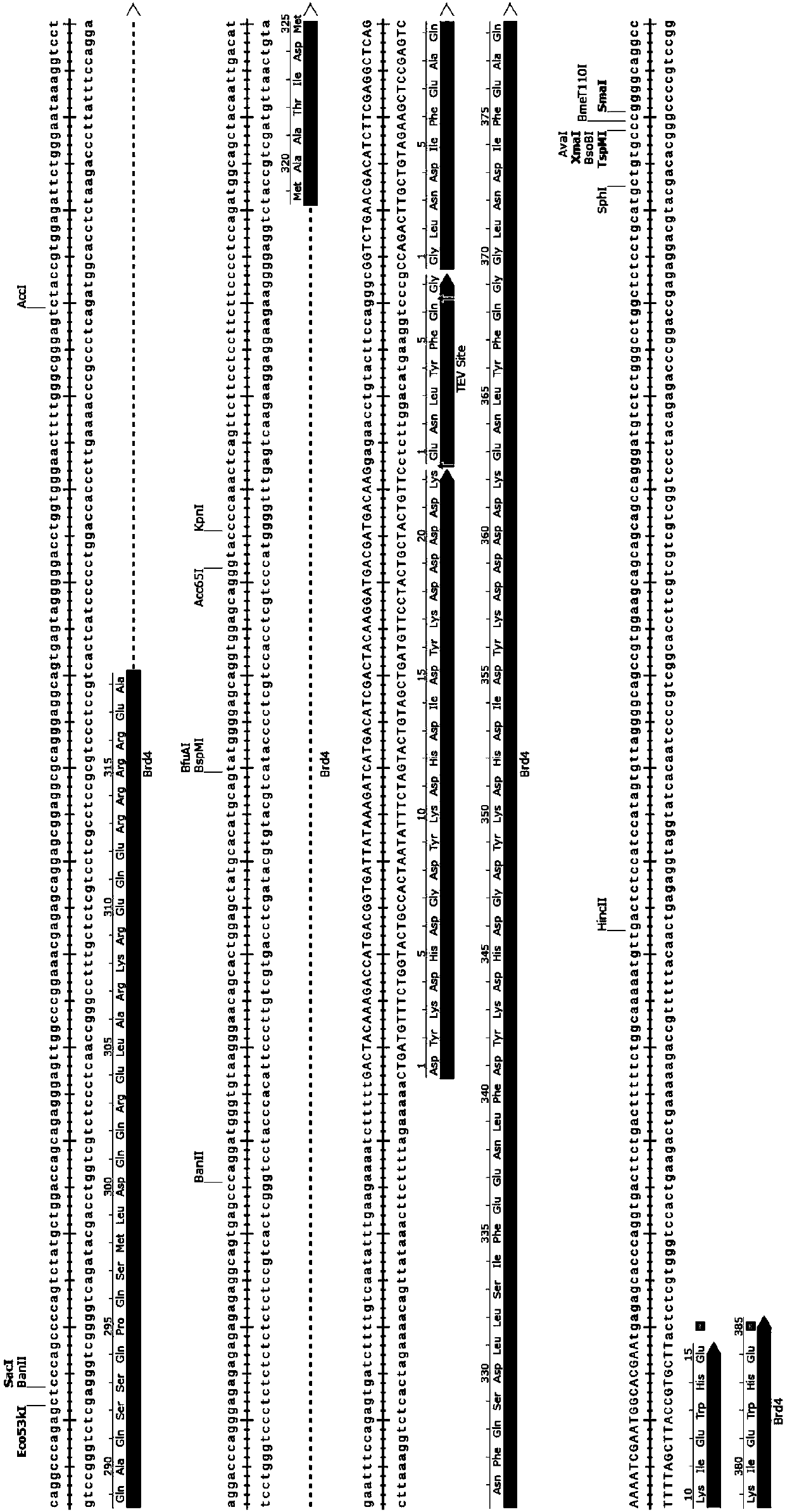 High-throughput protein analysis method and applicable library thereof