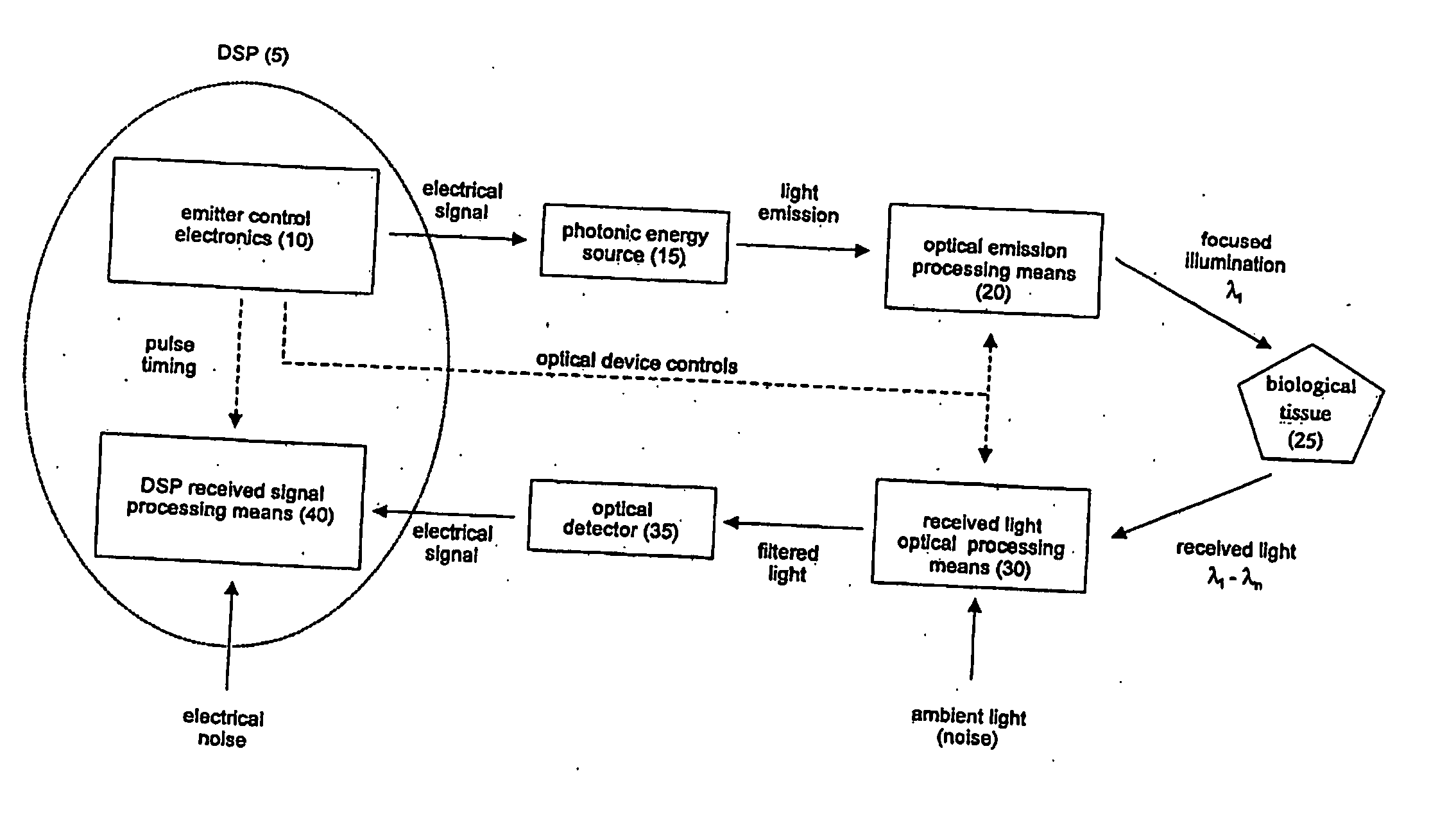 Optical system and use thereof for detecting patterns in biological tissue