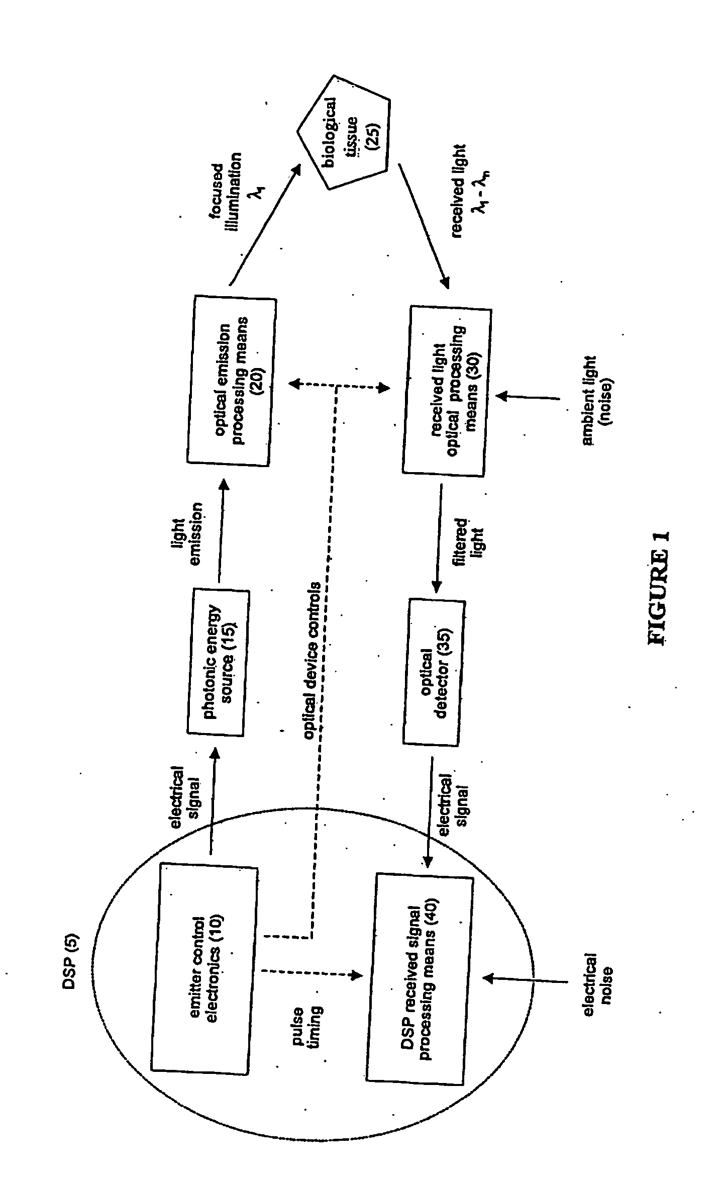 Optical system and use thereof for detecting patterns in biological tissue