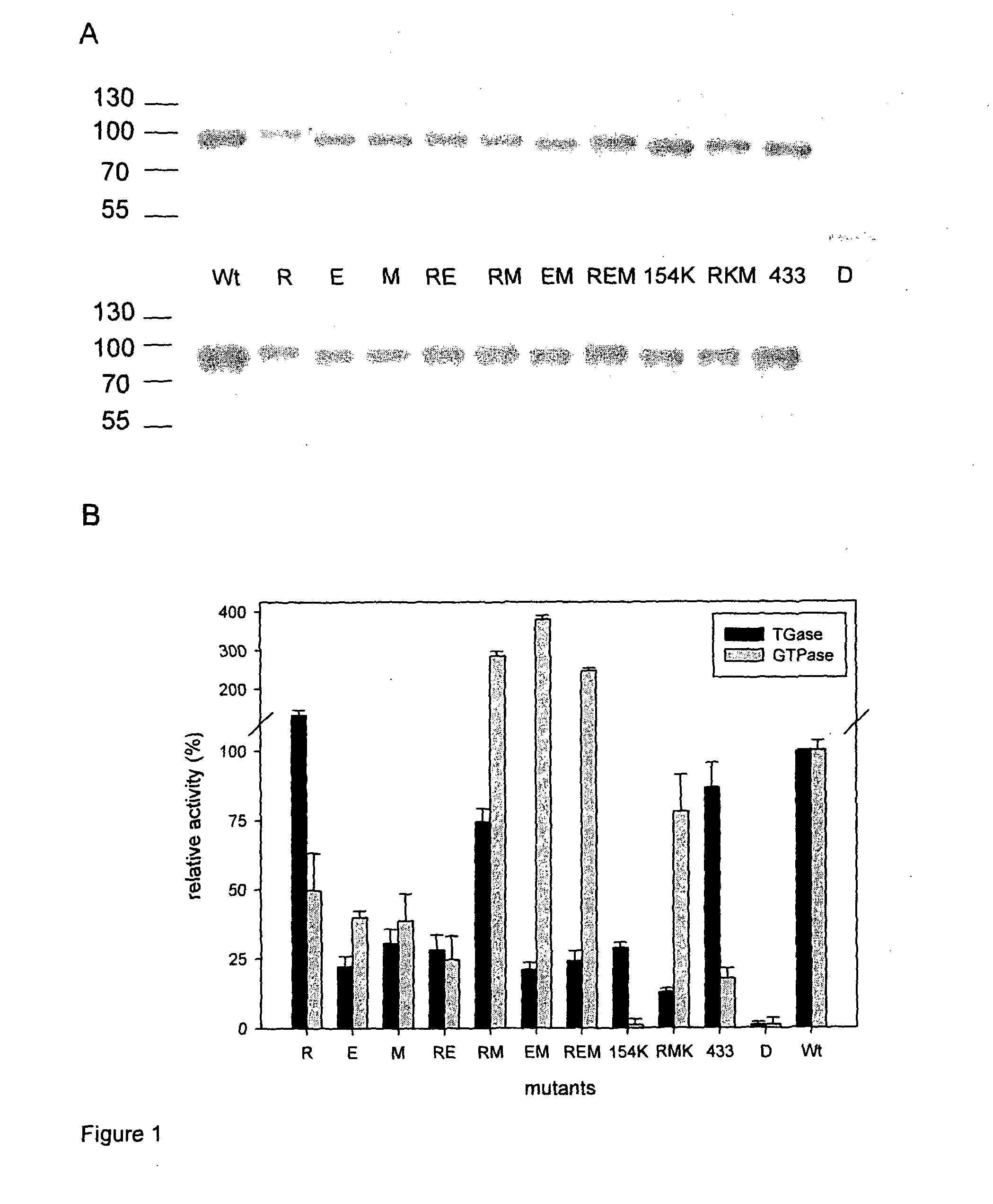 Diagnosis of Gluten-Induced Autoimmune Diseases