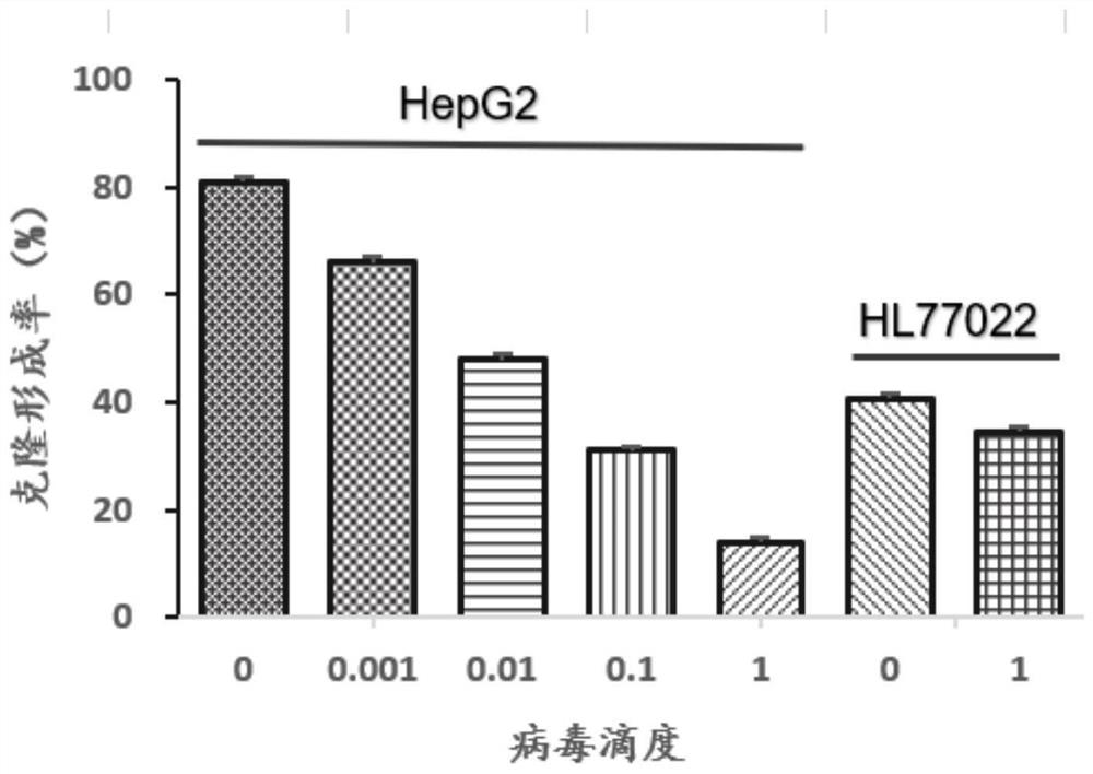 Virus construct for treating liver cancer as well as application and construction method thereof