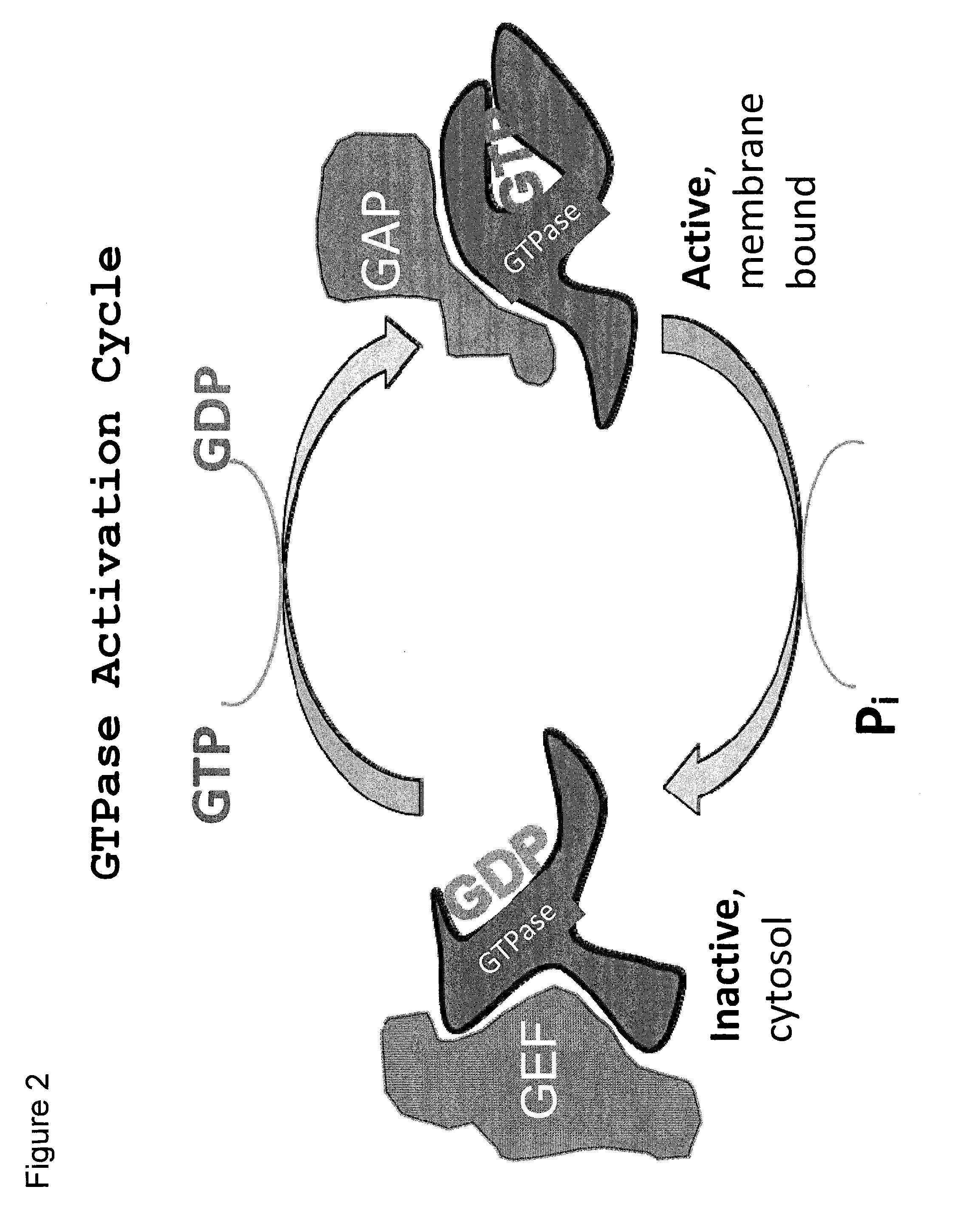 Rab7 GTPase Inhibitors and Related Methods of Treatment