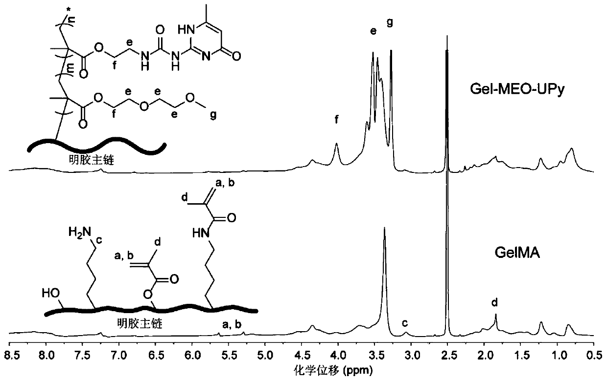 A thermosensitive polymer and its synthesis method and thermosensitive injectable hydrogel