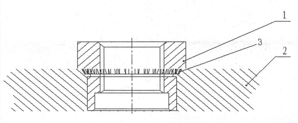 Rise rivet nut fastener