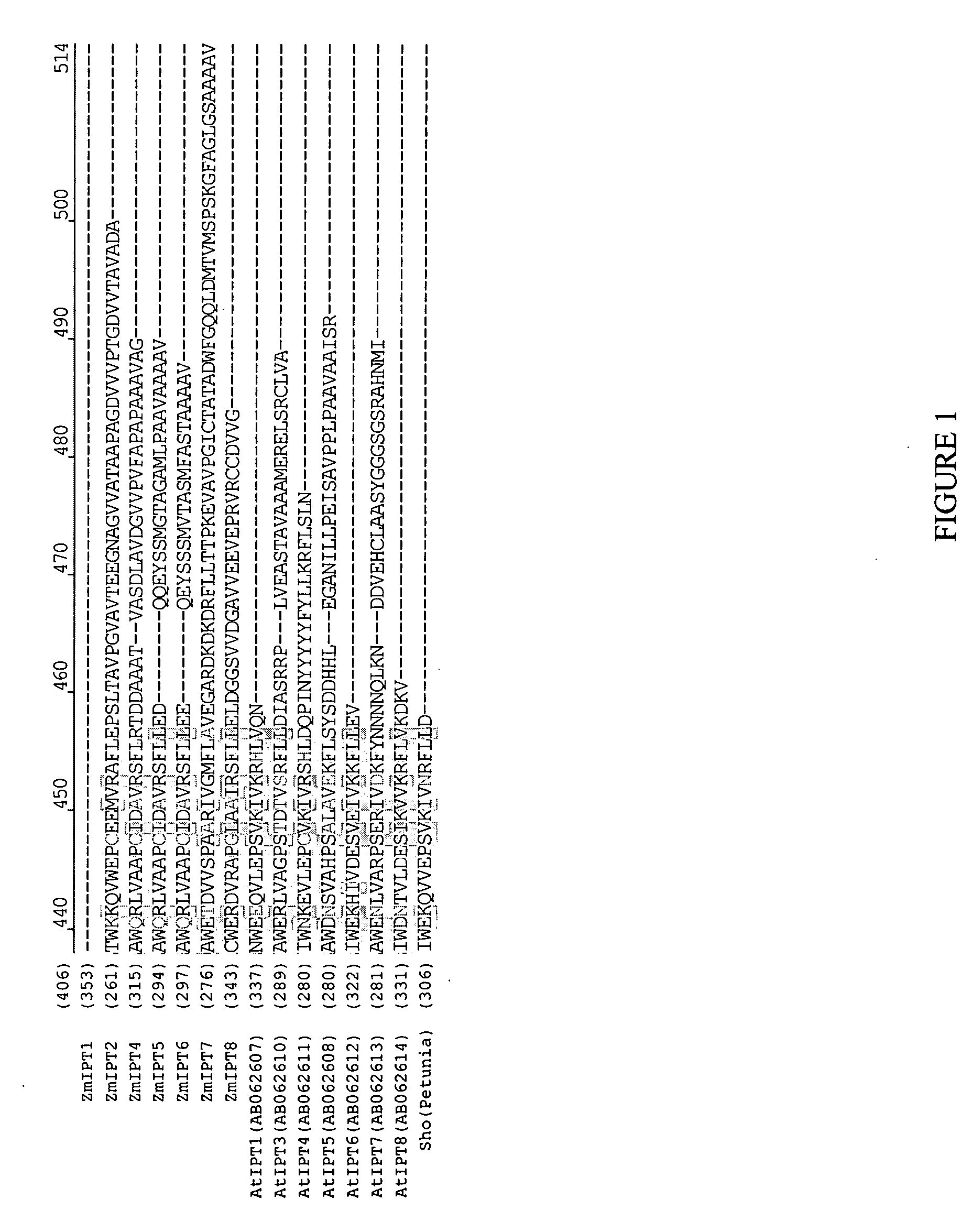 Isopentenyl transferase sequences and methods of use
