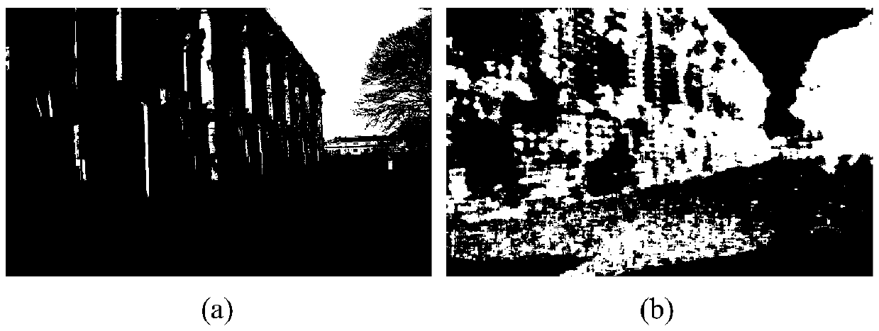 Image steganography algorithm using "controversial" pixels in RGB (Red, Green, Blue) color space