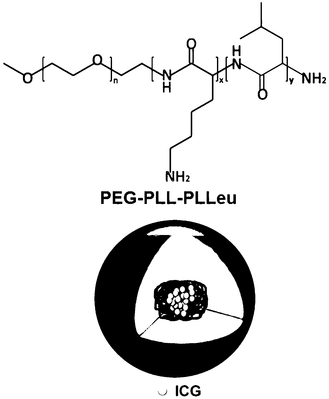Amphipathy tri-block polypeptide ICG (Indocyanine Green) loaded micelle and preparation method thereof