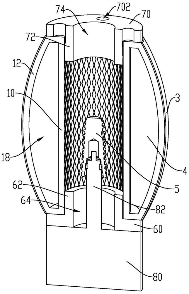 Implant surface modification device