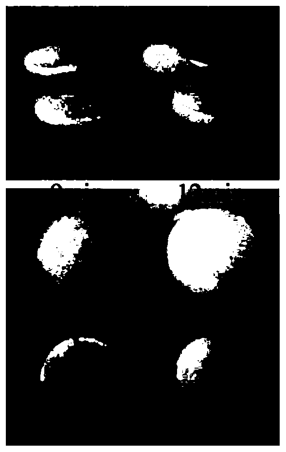 A double-layer composite hydrogel for repairing osteochondral tissue, preparation method and application