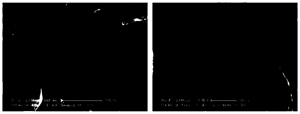 A double-layer composite hydrogel for repairing osteochondral tissue, preparation method and application