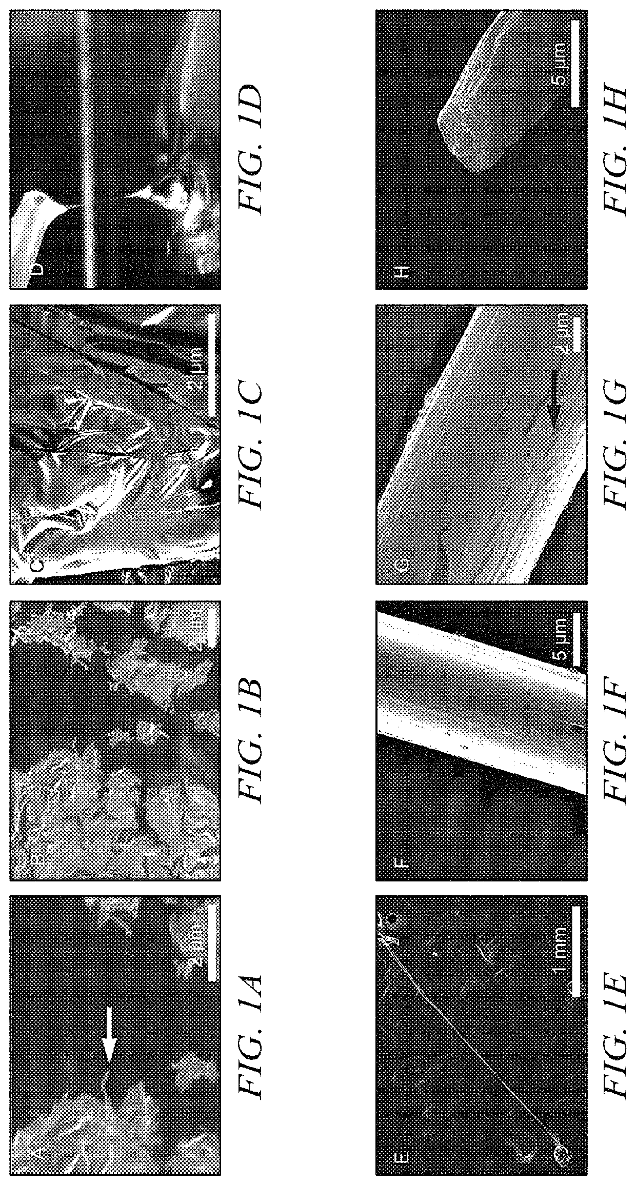 Self-assembly of protein-based biomaterials with multiple morphologies