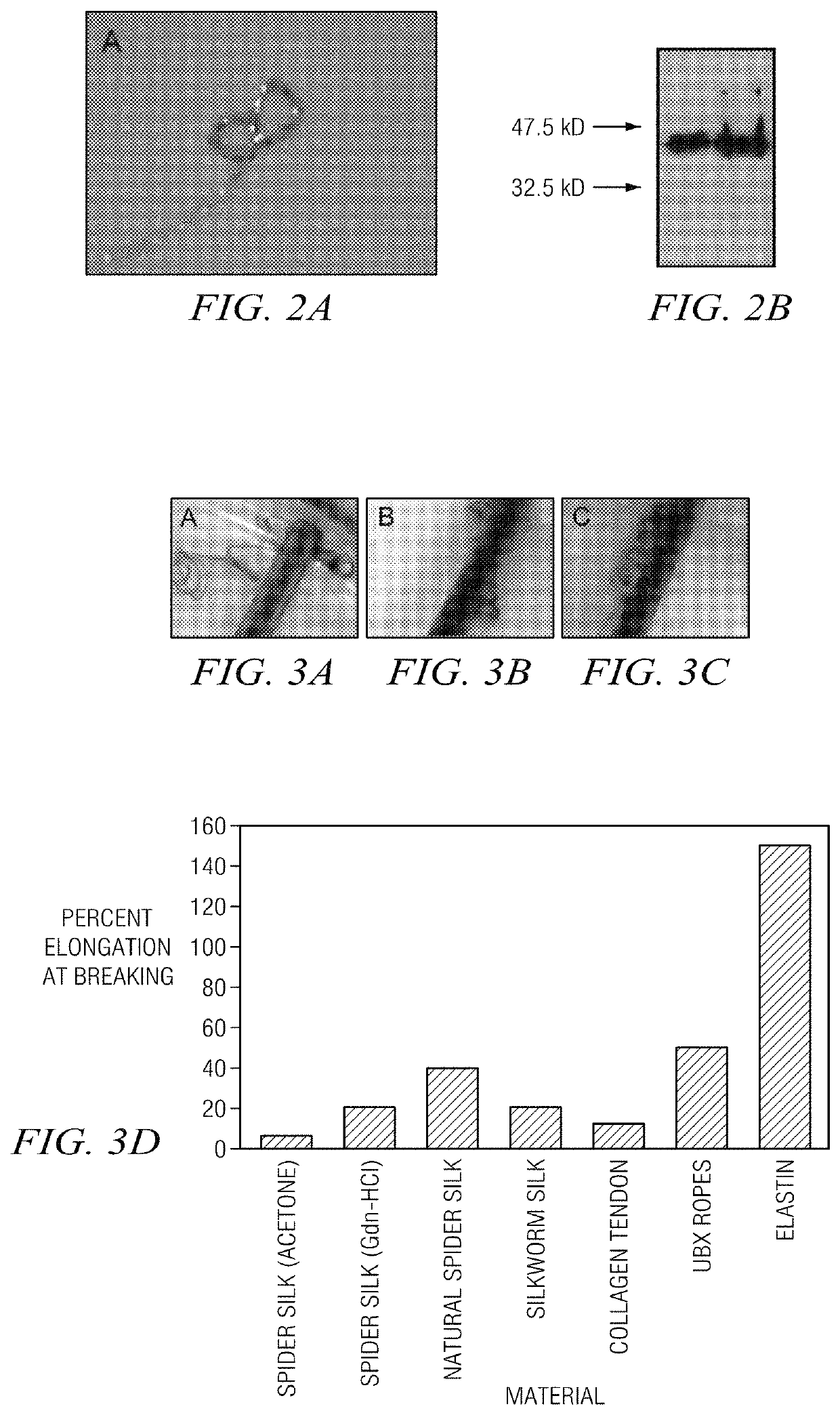 Self-assembly of protein-based biomaterials with multiple morphologies