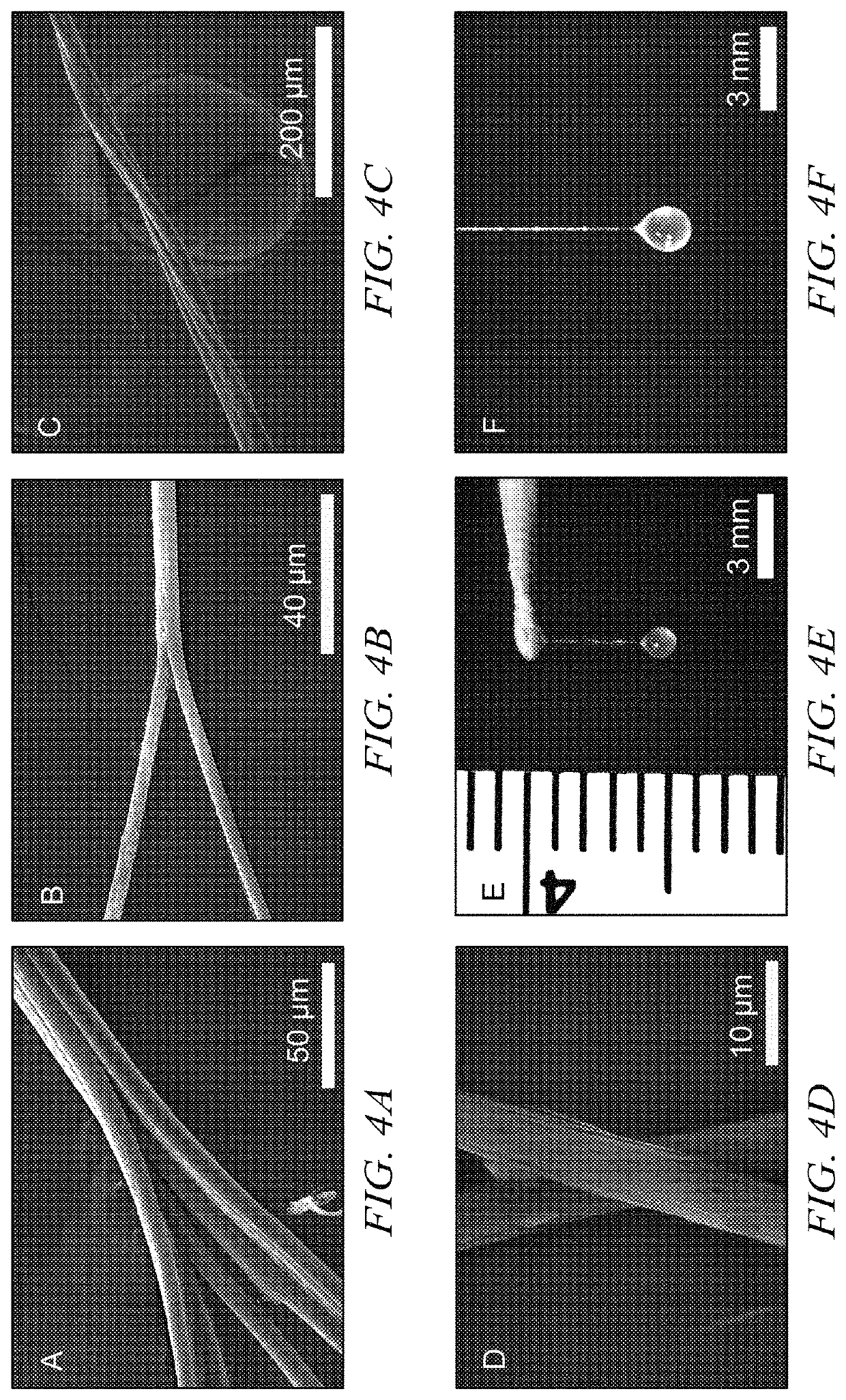 Self-assembly of protein-based biomaterials with multiple morphologies