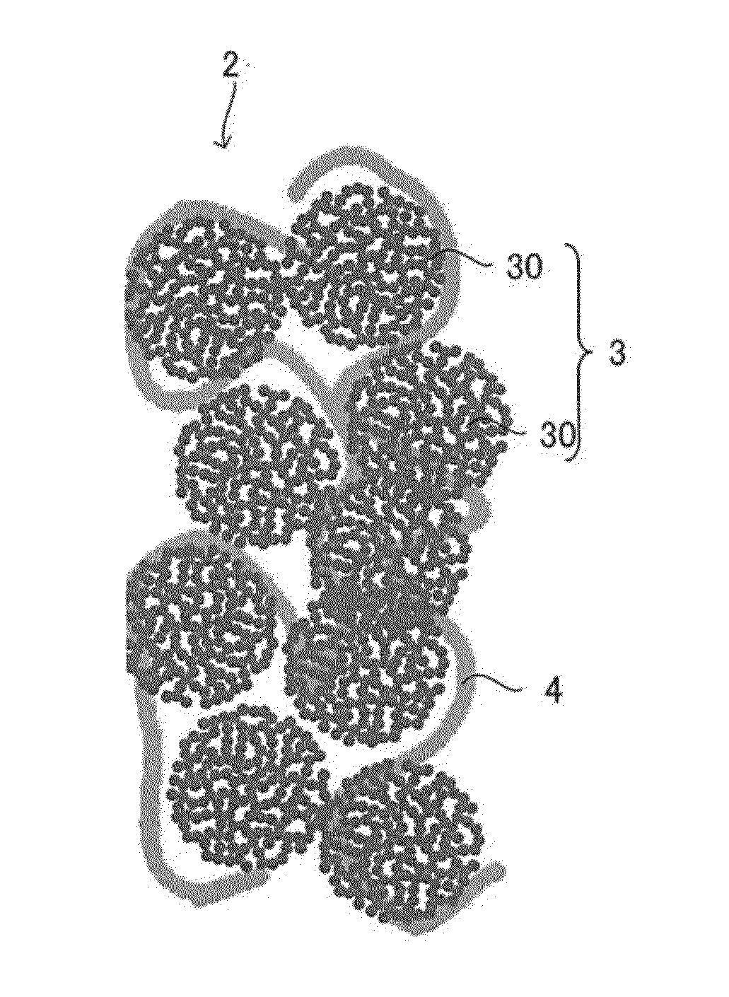 Catalyst layer for gas diffusion electrode, method for manufacturing the same, membrane electrode assembly, and fuel cell