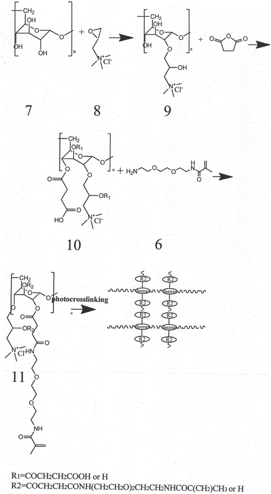 Glucan-based transparent hydrogel dressing and preparation method thereof