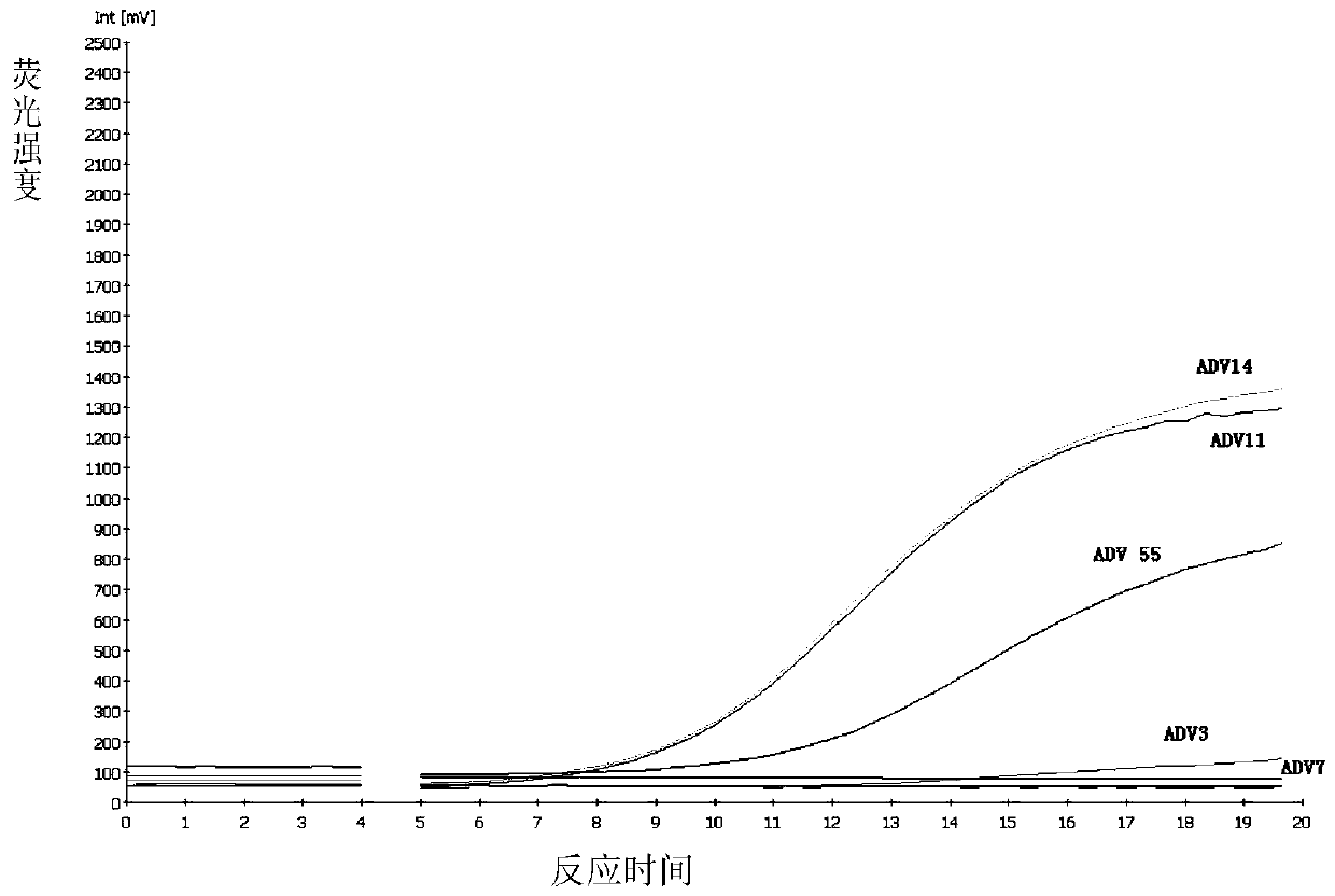 General-purpose nucleic acid isothermal detection reagent for adenovirus associated with respiratory tract infection