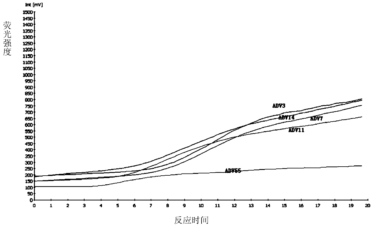 General-purpose nucleic acid isothermal detection reagent for adenovirus associated with respiratory tract infection