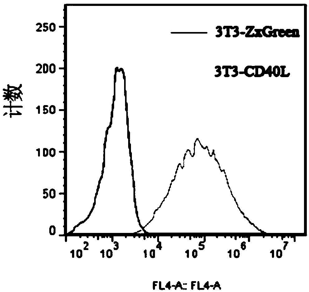 Anti-H7N9 fully humanized monoclonal antibody 4E18 and preparation method therefor and application of humanized monoclonal antibody