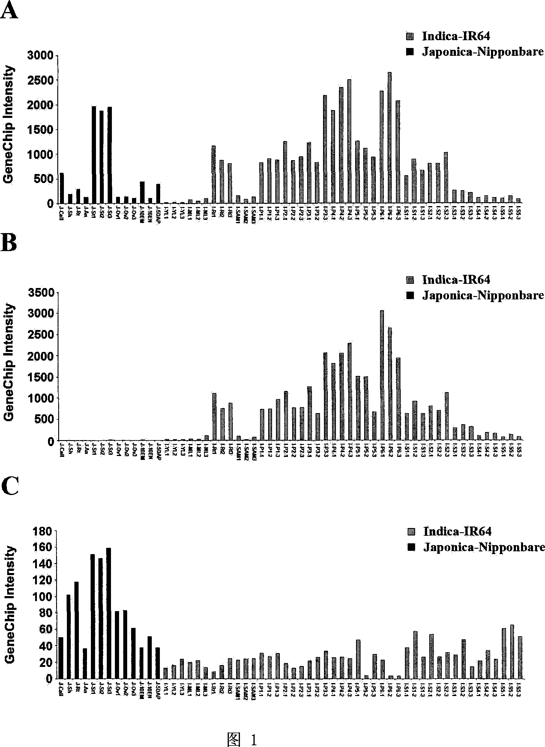 Method for assisting sifting motion of nonglutinous rice and non glutinous rice