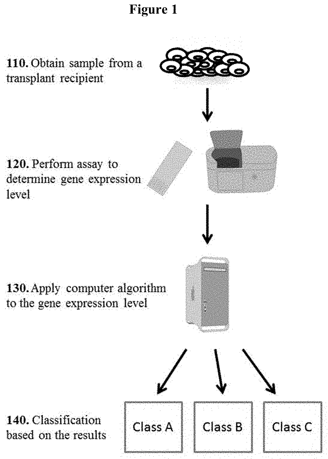 Tissue molecular signatures of kidney transplant rejections