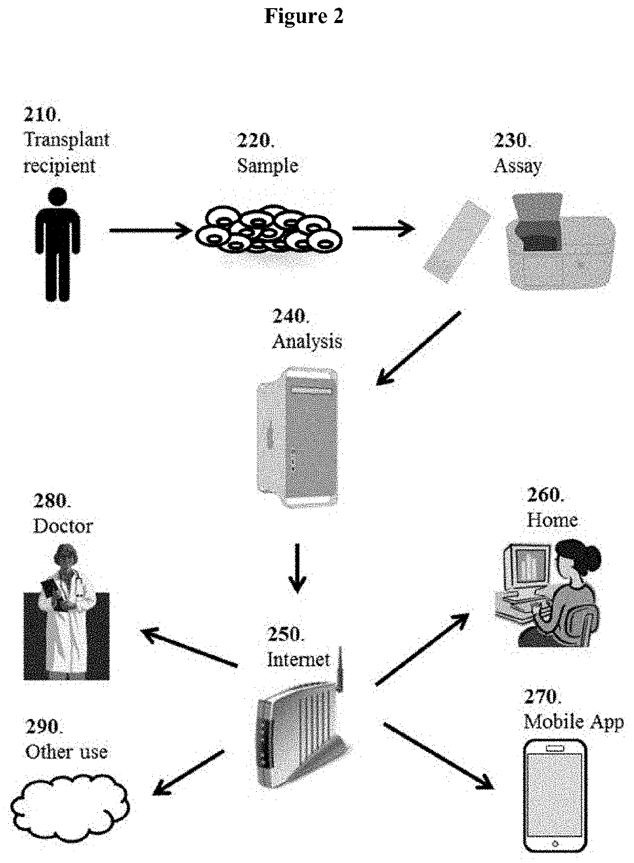 Tissue molecular signatures of kidney transplant rejections