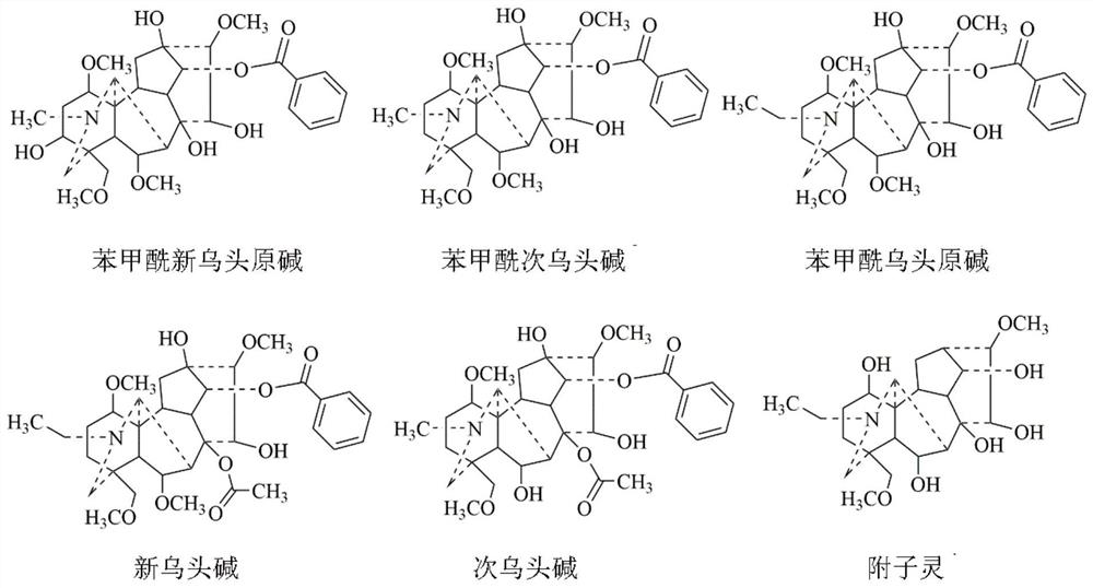 Application of fuziline in preparation of medicine for preventing and/or treating diseases caused by myocardial cell apoptosis