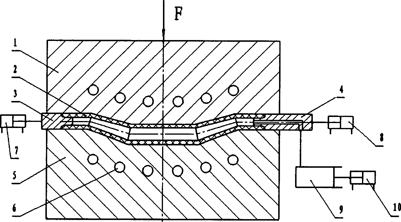 Method for forming magnesium alloy pipe fitting