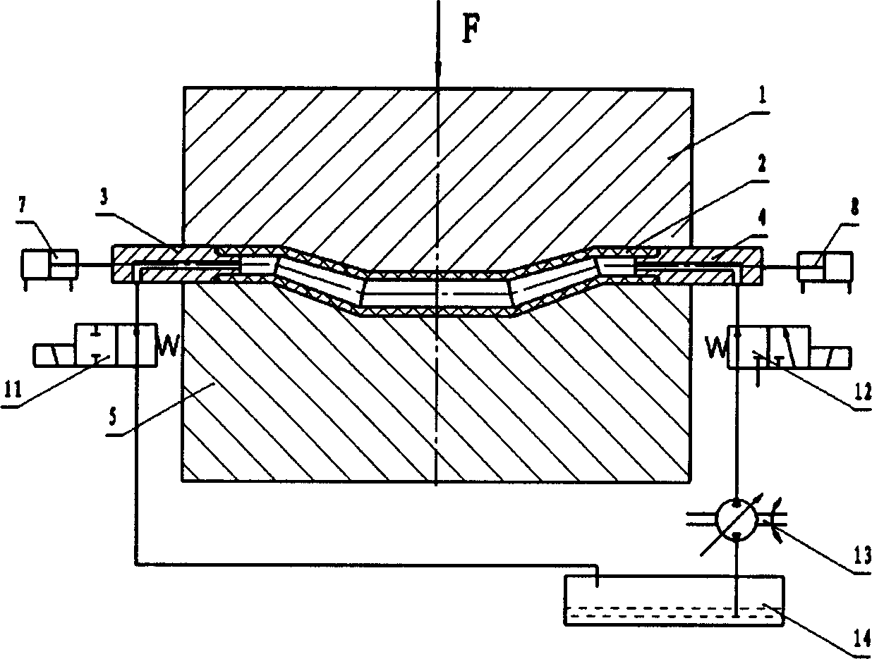 Method for forming magnesium alloy pipe fitting