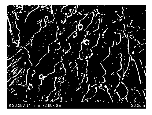Laser sintering synthesis method of ceramic-particle-reinforced nickel-aluminum-based composite