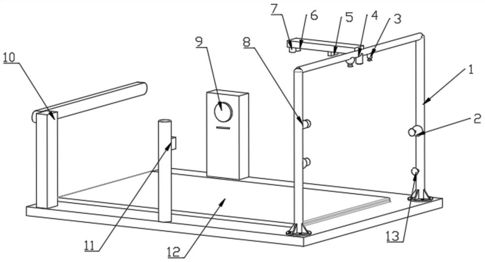 Automatic disability checking device and automatic passing intelligent gate system