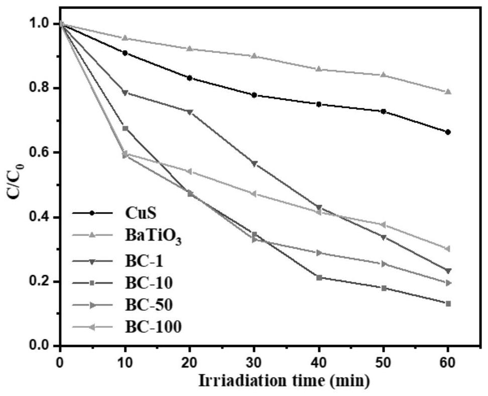 Piezoelectric photocatalyst, preparation method and application