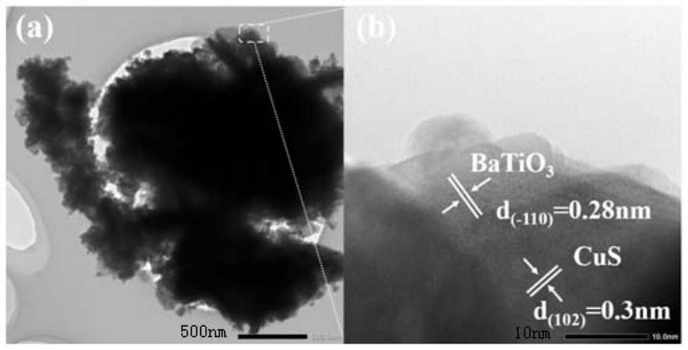 Piezoelectric photocatalyst, preparation method and application