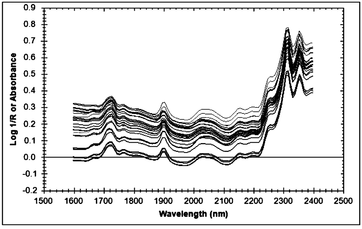 Prediction method for safe storage life of stacked double-base propellants